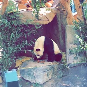 Meet your Posher, Mak